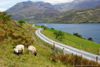 Killary Harbour